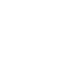 Shape audit