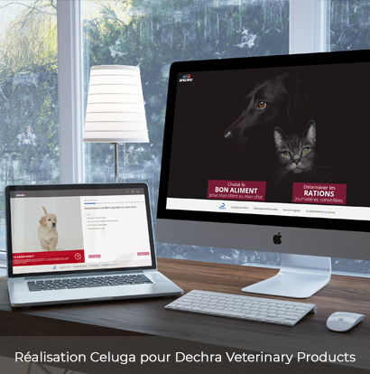 Image Dechra
