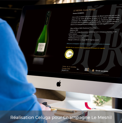Image LeMesnil