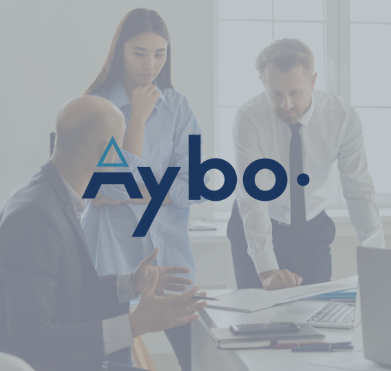 Portfolio Aybo Conseil