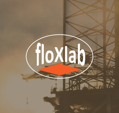 Portfolio Floxlab