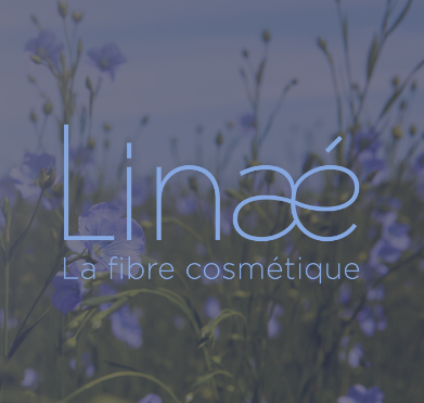 Portfolio Linae