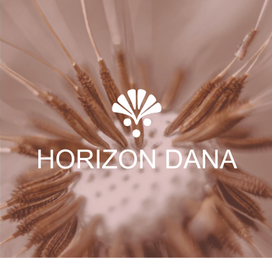 Portfolio Horizon Dana