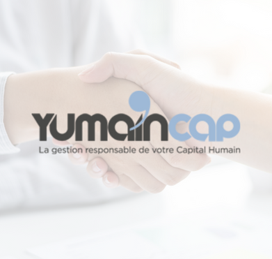 Portfolio Yumaincap